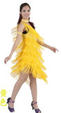 1920s Gatsby Flapper Sexy One Shoulder Tiered Fringe Dress Irregular Tassel Hem Latin Dance Dress Party Dancewear