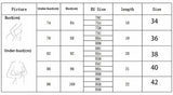 Lace Sexy See Through Crop Top To Wear Out Women Camis Summer Party Corset Push Up Bustier Bra