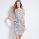 Vintage 1920s Party Sequin Bead Embroidery Flapper Dress Sleeveless See-Through Sheer Mesh Top Tunic Bodycon Short Dress