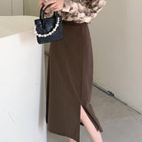 Women Casual Long Spring Fashion Korean Style All-match High Waist Ladies Elegant A-line Skirt