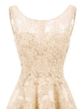 Vintage Lace Solid Hilo Formal Dress
