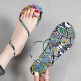 Snake Pattern Flat Summer Clip Toe Gladiator Sandals Woman Non Slip Beach Shoes