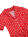 Polka Dot 50s Pinup Robe Button Up Pleated Vintage Style Dress Women Elegant Belted Ladies Rockabilly Long Dresses